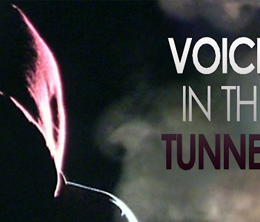 Voices in the Tunnels (2009)