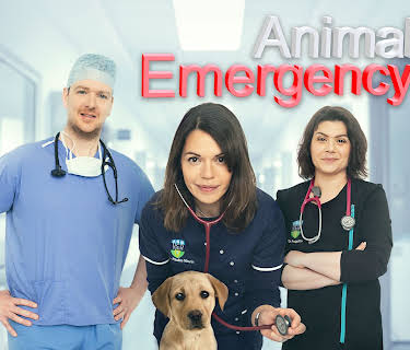Animal Emergency