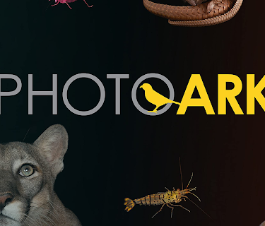 Photo Ark