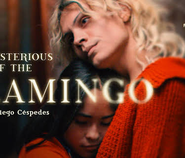 The Mysterious Gaze of the Flamingo (2025)