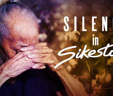 Silence in Sikeston (2024)