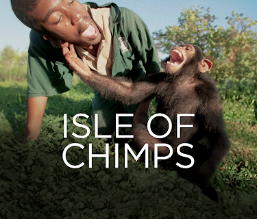 Isle of Chimps (2019)