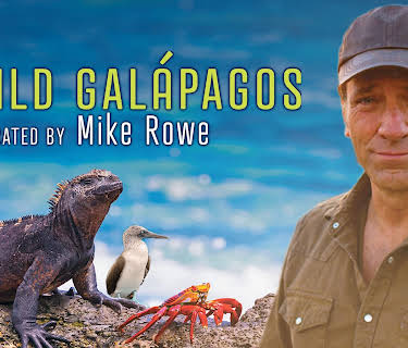 Wild Galapagos