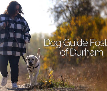 Dog Guide Fosters of Durham