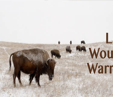 Little Wound's Warriors (2017)