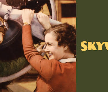 Skyway (1933)