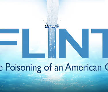 Flint: The Poisoning of an American City (2019)