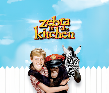 Zebra in the Kitchen (1965)