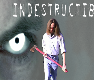 Indestructible (2009)