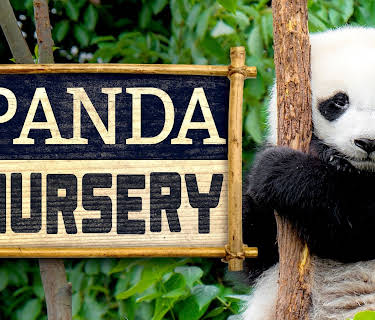 Panda Nursery (2007)