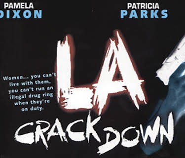 LA Crackdown (1989)