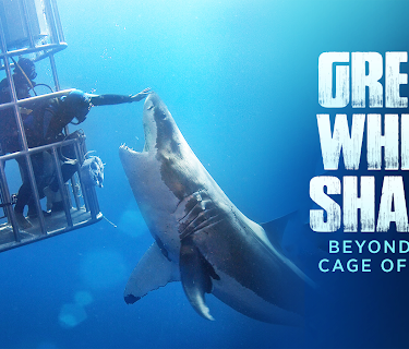 Great White Shark: Beyond the Cage of Fear (2013)