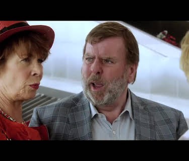 The Love Punch (2014)