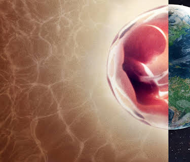 Menneskekroppen: En indre verden