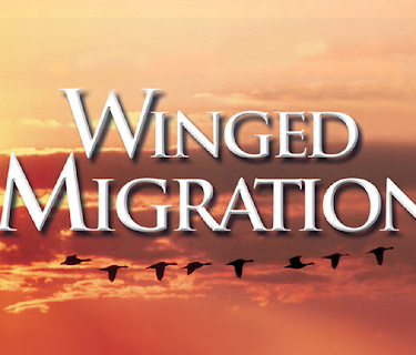 Winged Migration (2003)