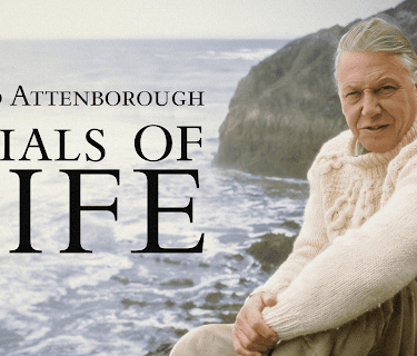 The Trials of Life