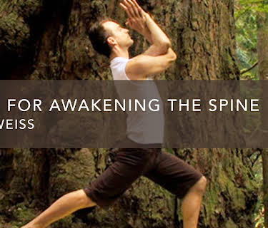 Yoga For Awakening The Spine (1990)
