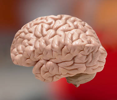 Mind Massage