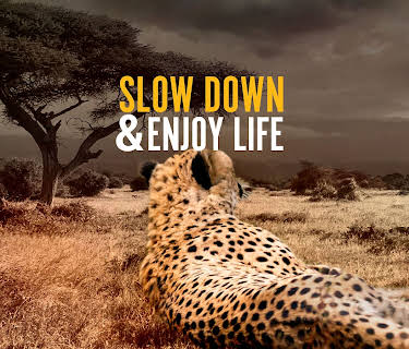 Slow Down And Enjoy Life (2020)