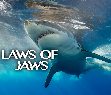 The Laws of Jaws (2018)