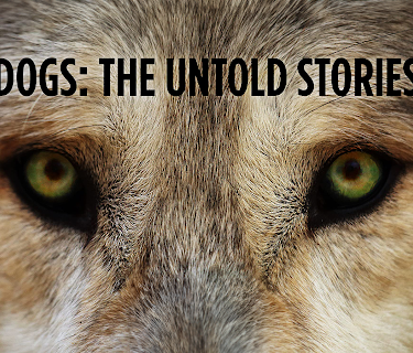 Dogs The Untold Story Season 1