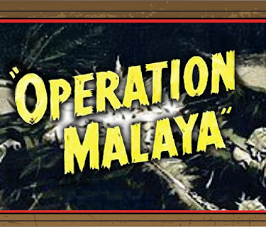 Operation  Malaysia (2026)