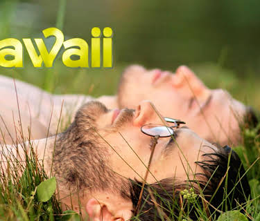 Hawaii (English Subtitled) (2015)