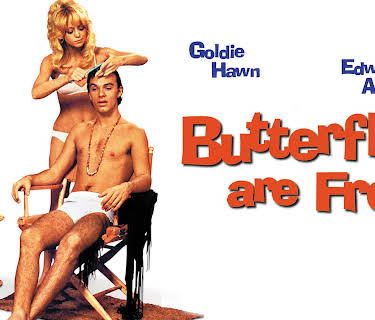 Butterflies Are Free (1972)
