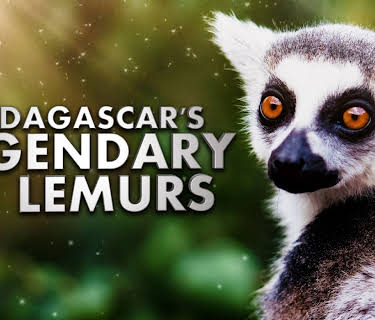 Madagascars Legendary Lemurs (2026)