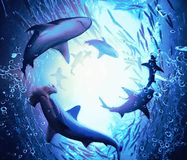 Sharks in Paradise (2022)