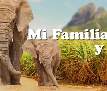 Mi Familia y Yo