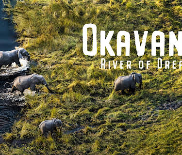 Okavango: River of Dreams: Season 1
