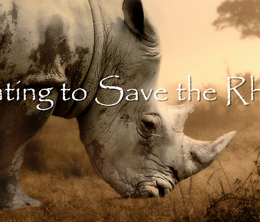 Hunting to Save the Rhinos