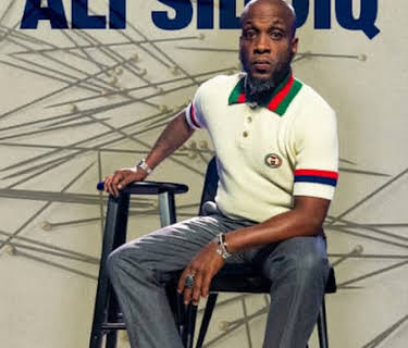 Ali Siddiq The Domino Effect Part 4: Pins & Needles (2024)