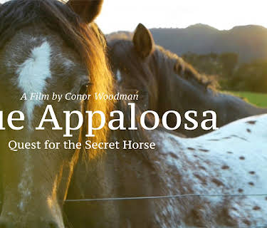 True Appaloosa (2015)