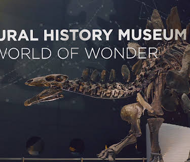 Natural History Museum: World of Wonder