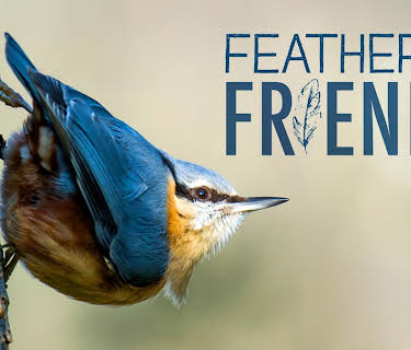 Feathered Friends