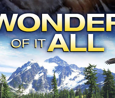 Wonder of It All (2007)