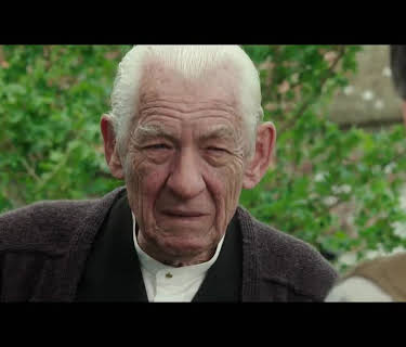 Mr. Holmes (2015)