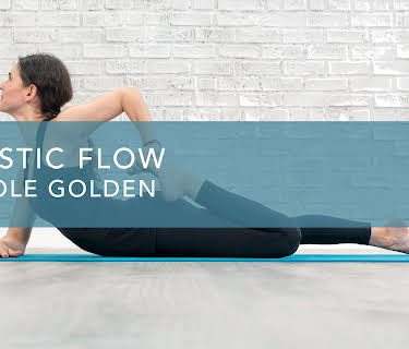 Holistic Flow (2020)