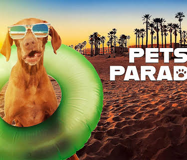 Pets in Paradise TV