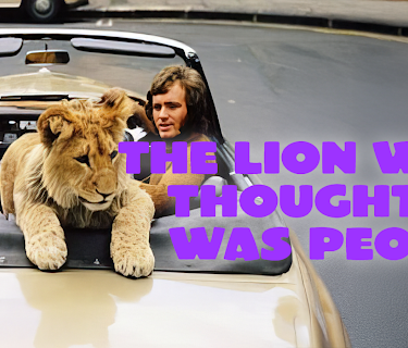 The Lion Who Thought He Was People (1972)