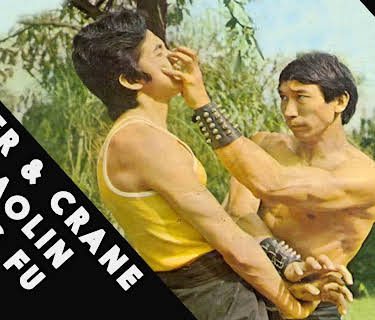 Tiger and Crane Shaolin Kung Fu (1970)