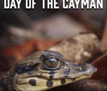 Animal River Challenge: Day of the Cayman (2010)