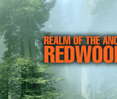 Realm of the Ancient Redwoods (2014)