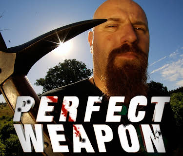 Perfect Weapon
