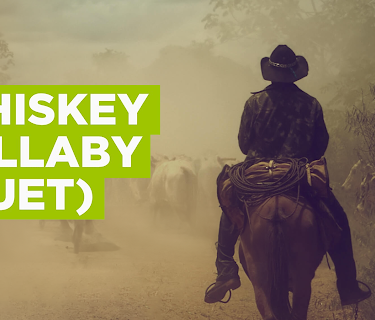 Whiskey Lullaby (Duet) (2004)