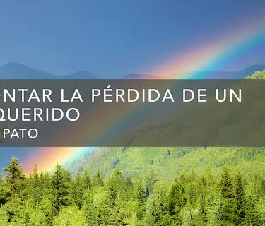 Afrontar la pérdida de un ser querido (2016)
