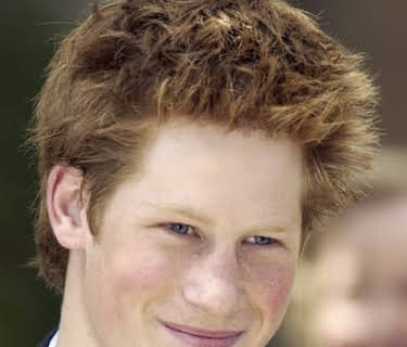 Harry: The Mysterious Prince (2004)