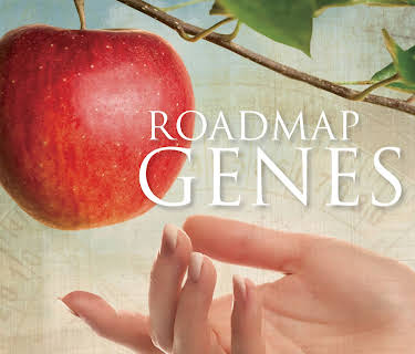 Roadmap Genesis (2015)